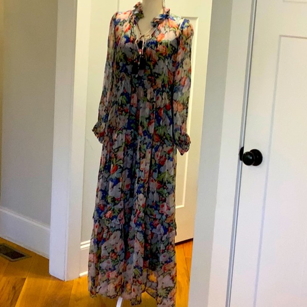 XS by Anthropologie Maria’s Printed Chiffon Maxi Dress